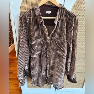 Anthropologie PILCRO Velvet Striped Shirt